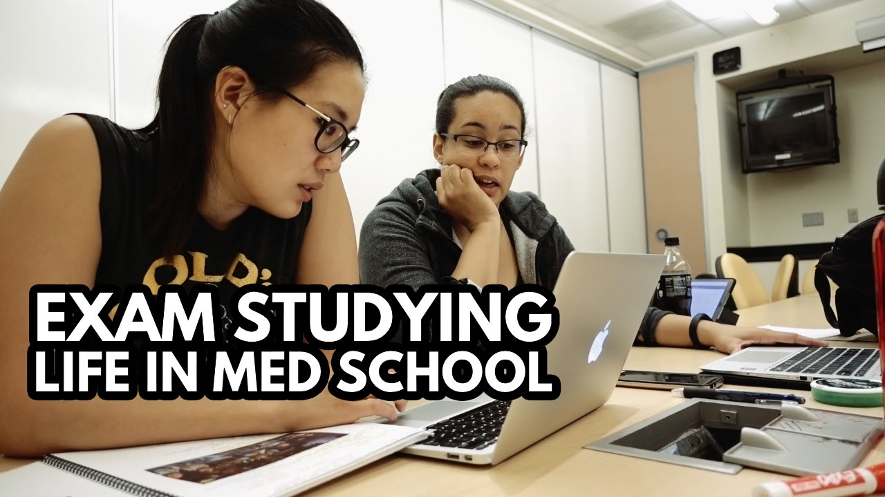 EXAM STUDYING: Life of a Medical School Student -- A Full Day of Studying