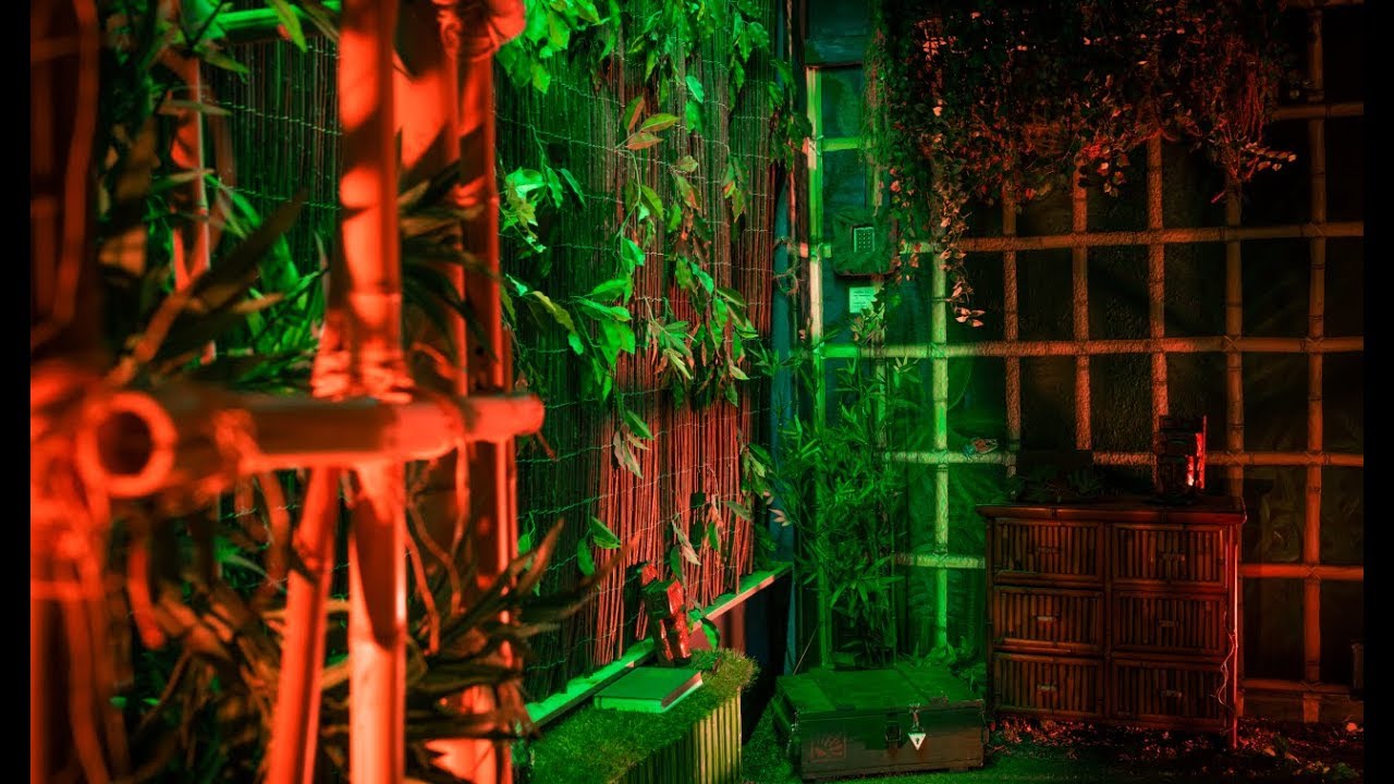 Escape Room Dortmund: Das Geheimnis des Dschungels | Key&Free