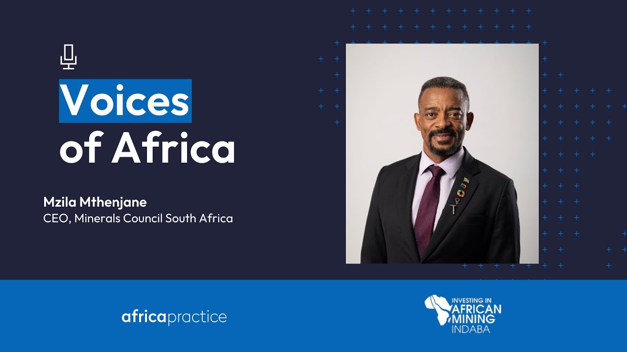 Critical minerals on Africa's terms with Mzila Mthenjane
