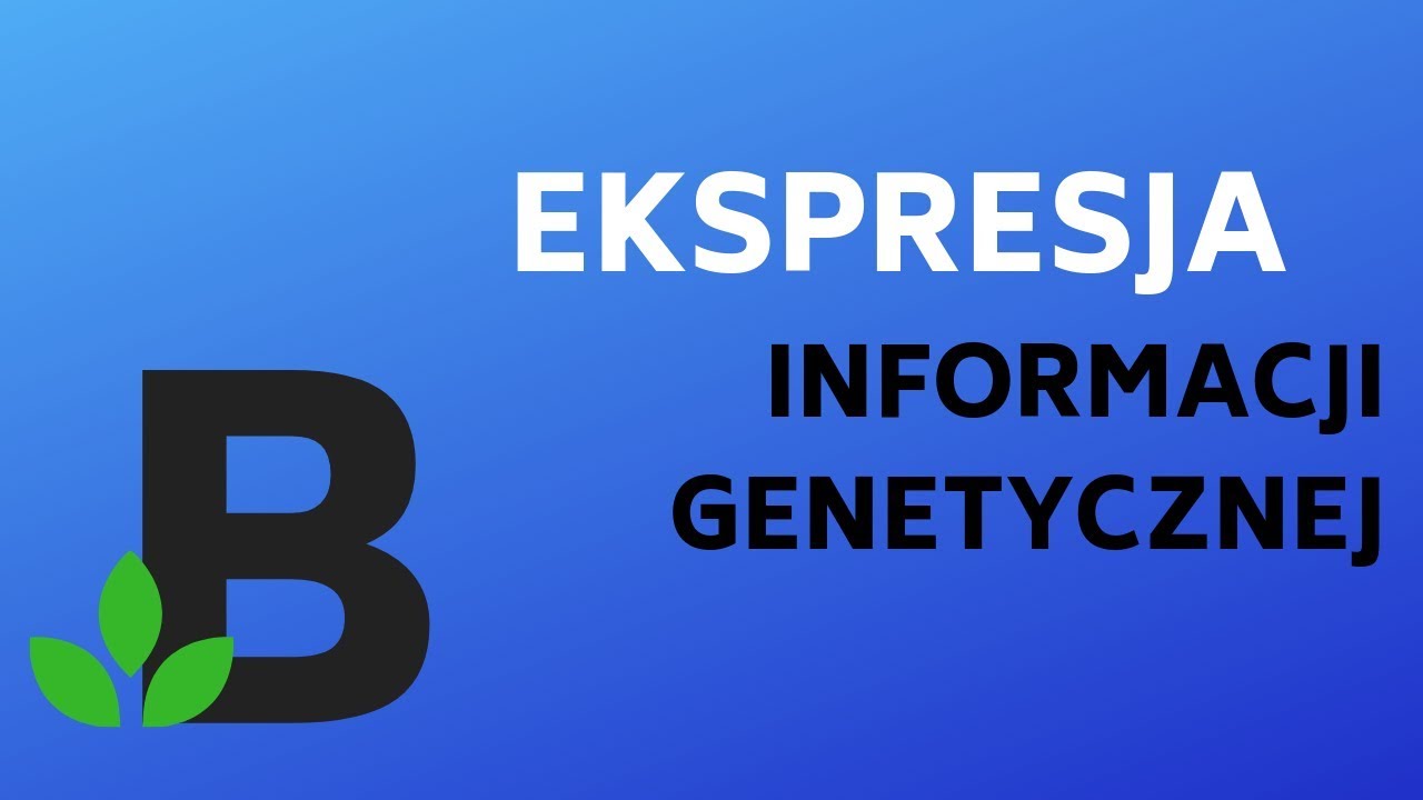 na czym polega EKSPRESJA INFORMACJI GENETYCZNEJ ? - KOREPETYCJE z BIOLOGII - 212