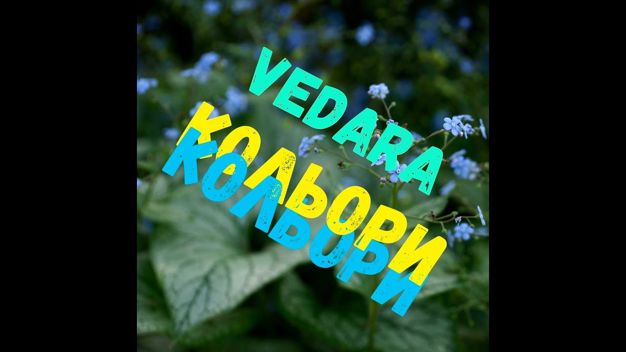 VEDARA - Кольори