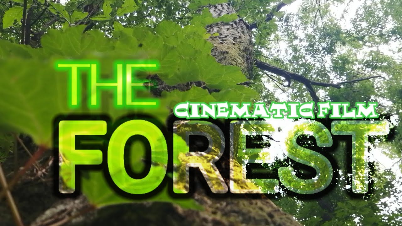 FOREST -NATURE CINEMATIC FILM #naturefilm #cinematicfilm #nature
