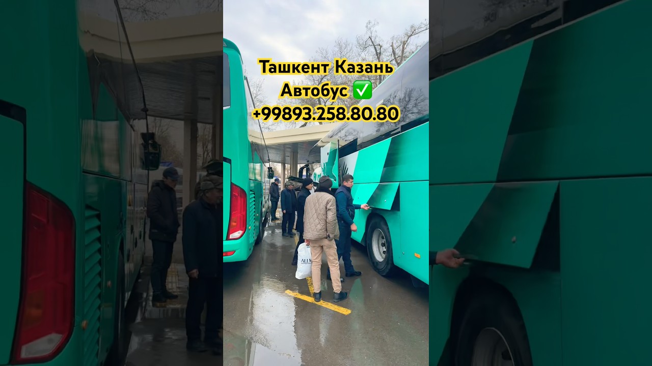 ❗️Ташкент Казань Автобус 