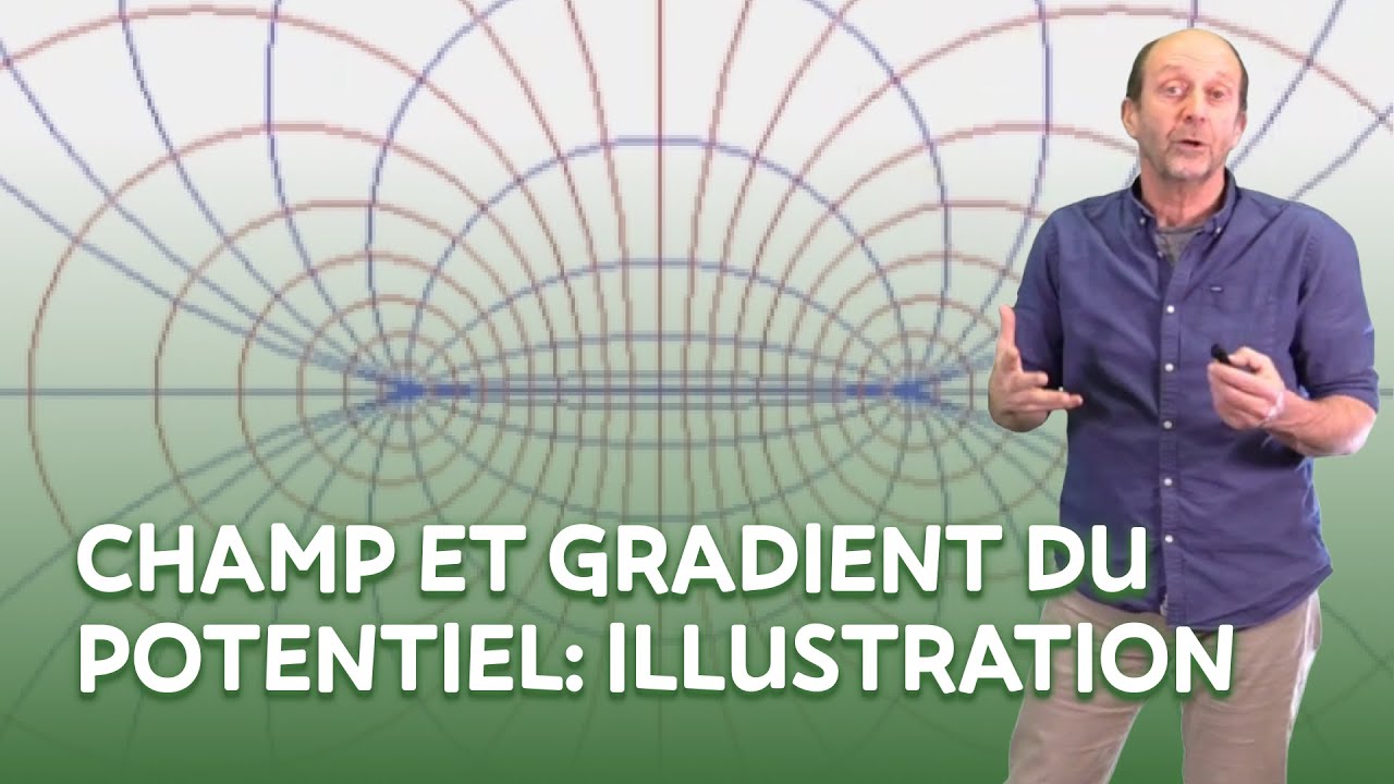 Champ et gradient du potentiel : illustration