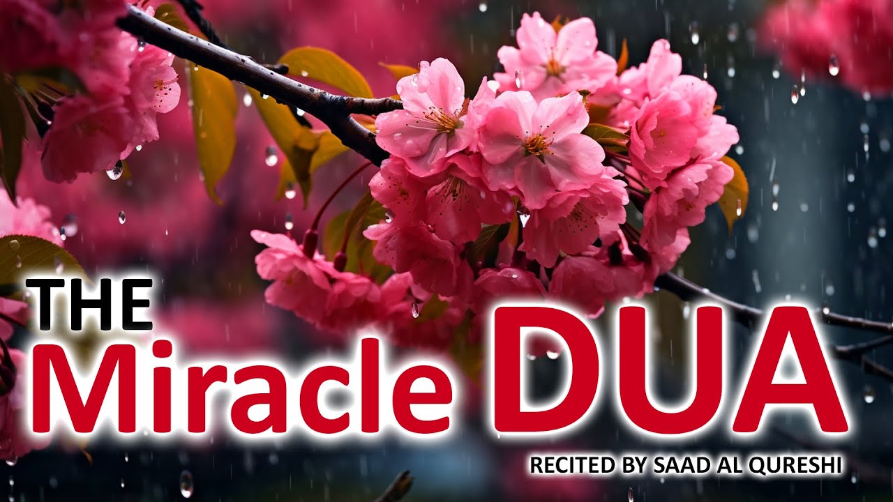 THE MIRACLE DUA WILL GIVE YOU POWER AND MAKE EVERYTHING EASY FOR YOU INSHA ALLAH!