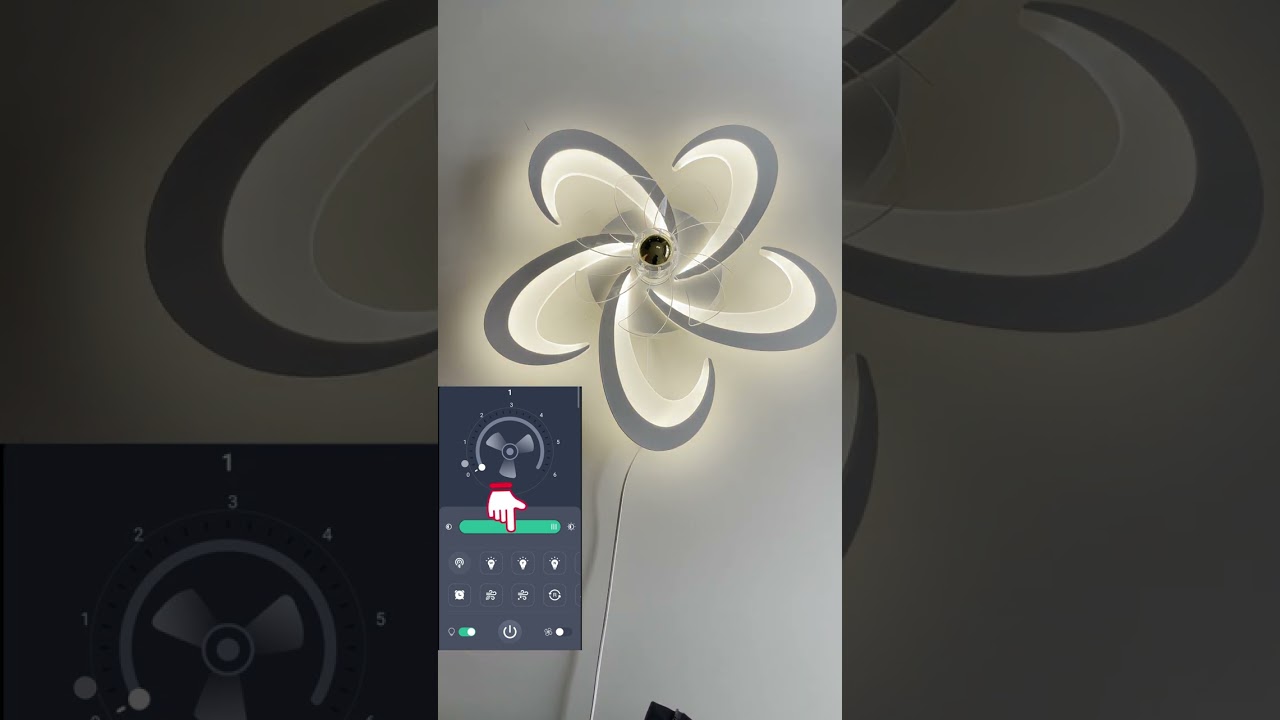 RGB Petal Fan Ceiling Light APP User Guide
