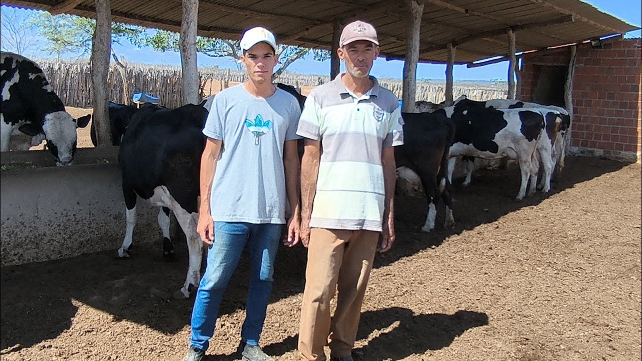 VEJA A LUTA DI&Aacute;RIA DE ANDR&Eacute; VAQUEIRO E SEU PAI JO&Atilde;O PRA ALIMENTAR AS VACAS LEITEIRA 