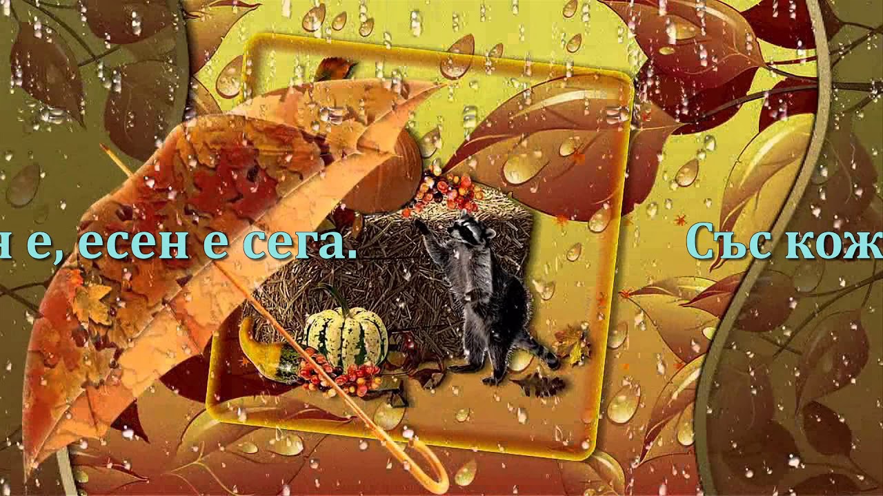 Дъждовна есен - текст на песента