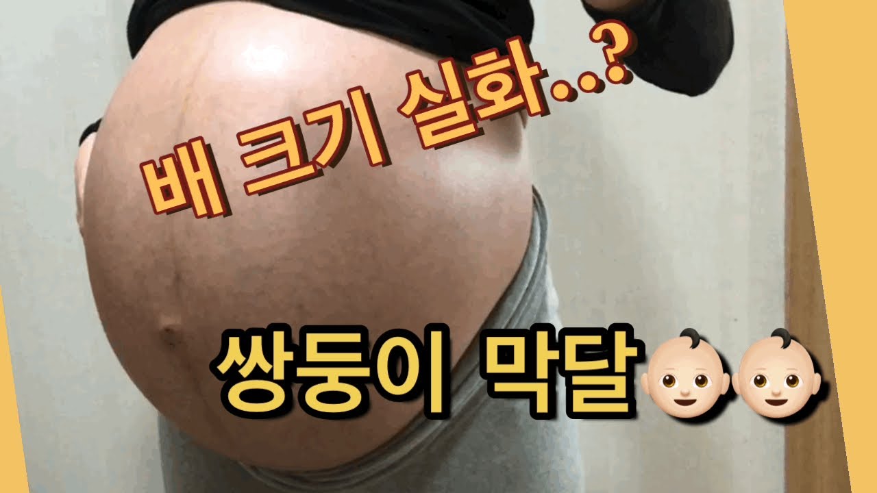 쌍둥이 출산하러 가는 길 / 배크기 실화냐? / 꽉 찬 37주