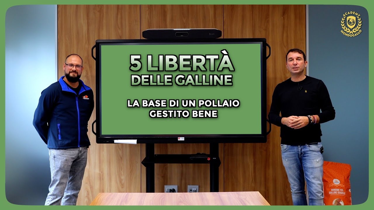 Gestione del Pollaio Rurale: le 5 Libertà per il Benessere delle Galline | con Progeo