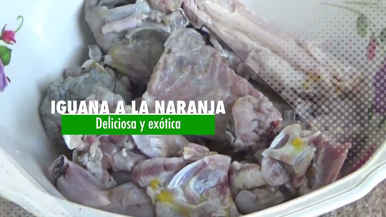 comida tipica colima