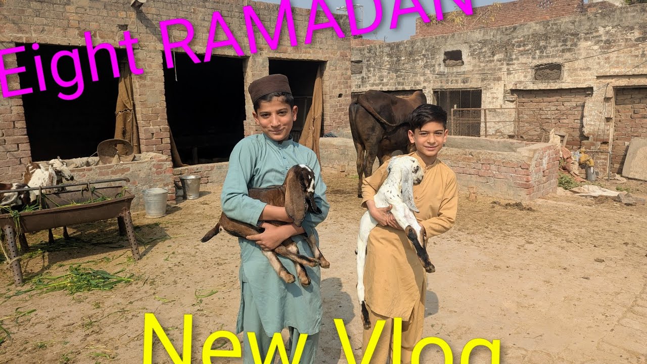 @Qurbani Lover Subscribe My YouTube channel 😍😍 Keep supporting watch full video 📷