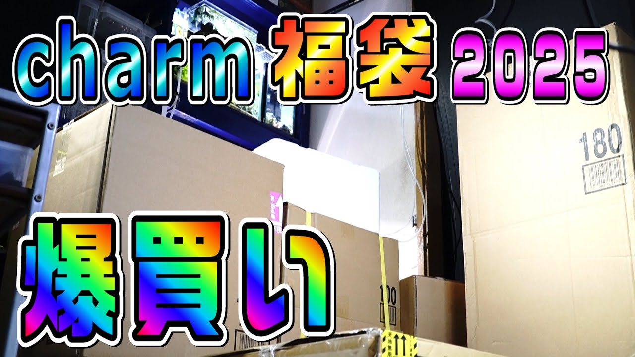 【2025年チャーム福袋】超絶爆買いしたものを開封する。ブセガチャ＆石ガチャ＆流木ガチャ。【アクアリウム】