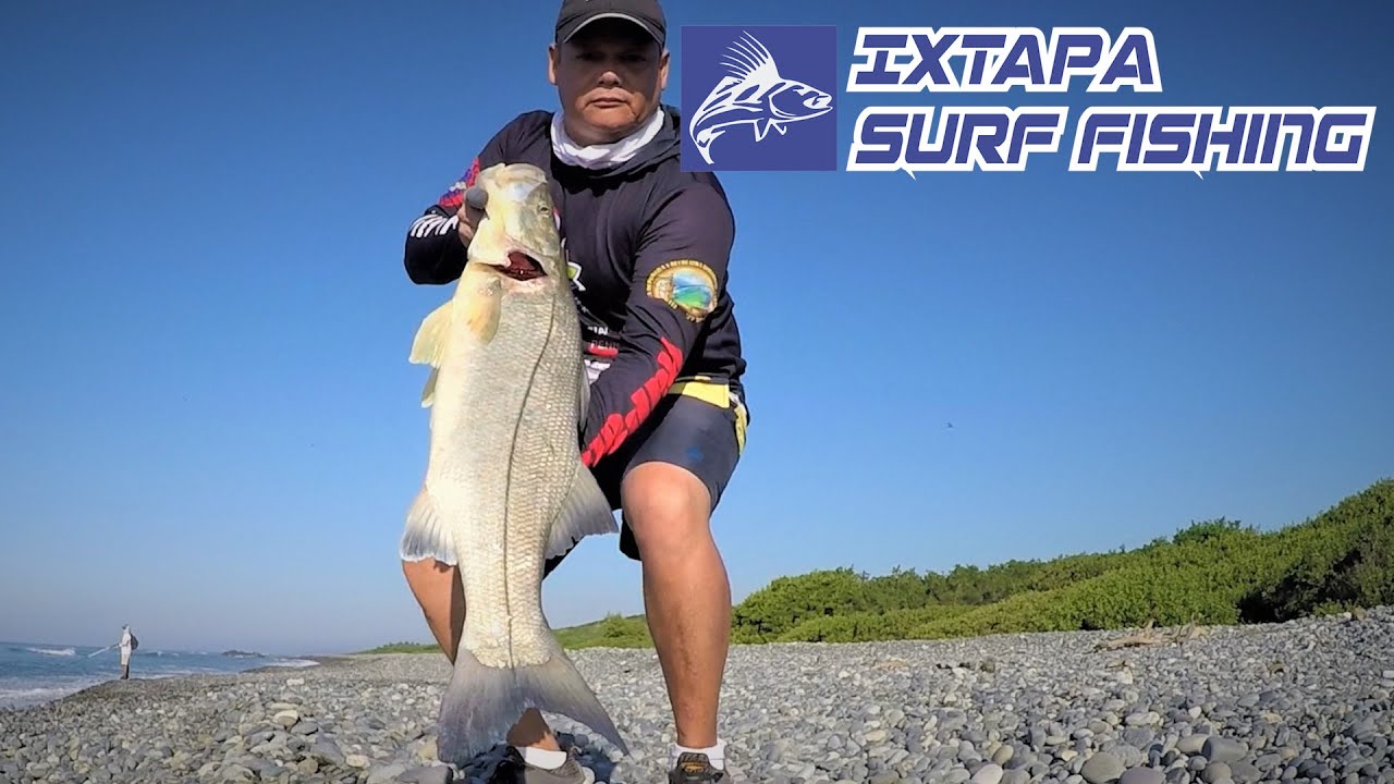 Robalo con señuelo bailarina bucktail