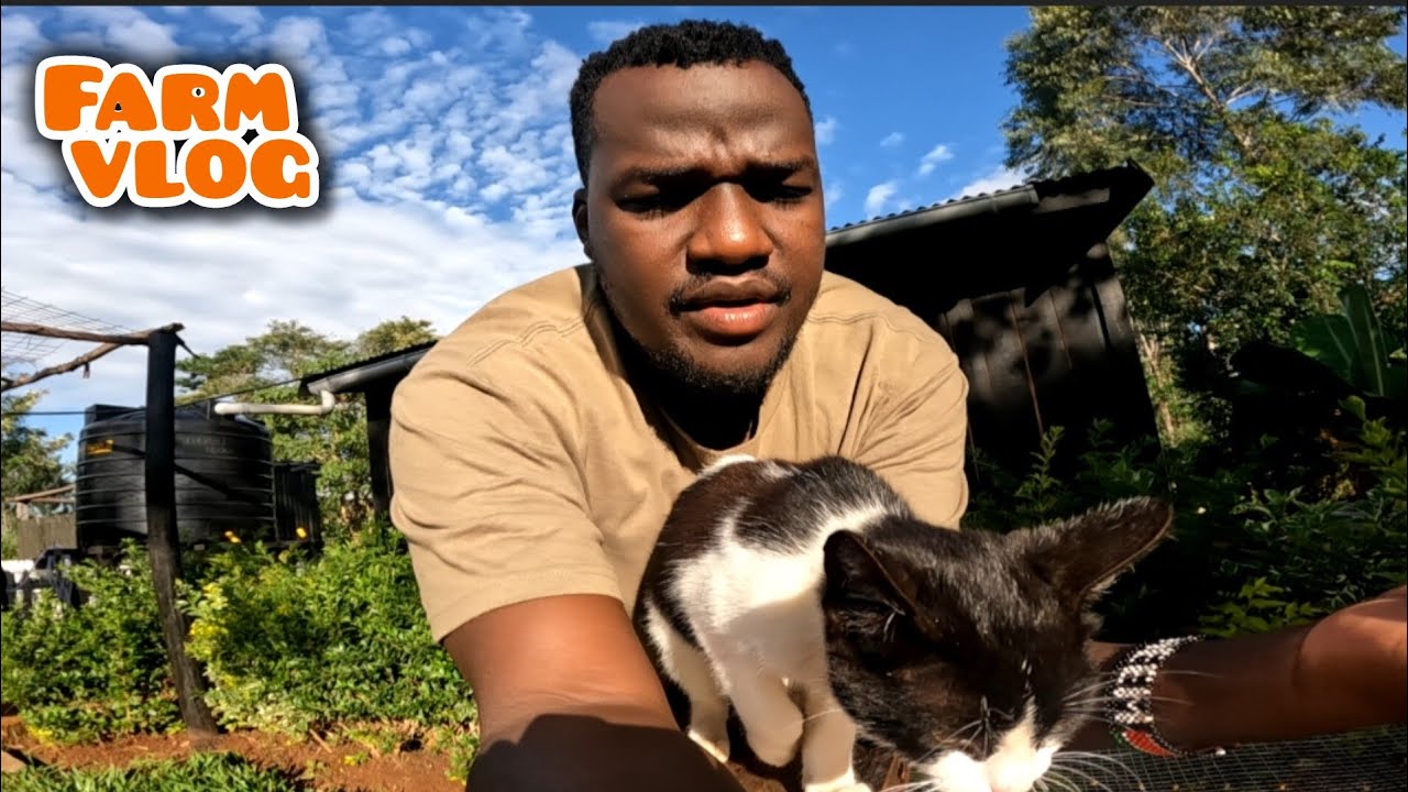 Royal Kheem Confronts Snowy| Farm Vlog 🏡