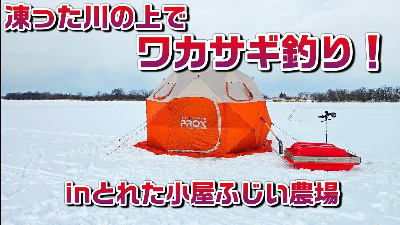 凍った川の上でワカサギ釣り！【とれた小屋ふじい農場札幌茨戸川2026年初釣り】道産子探検隊　北海道　わかさぎ釣り
