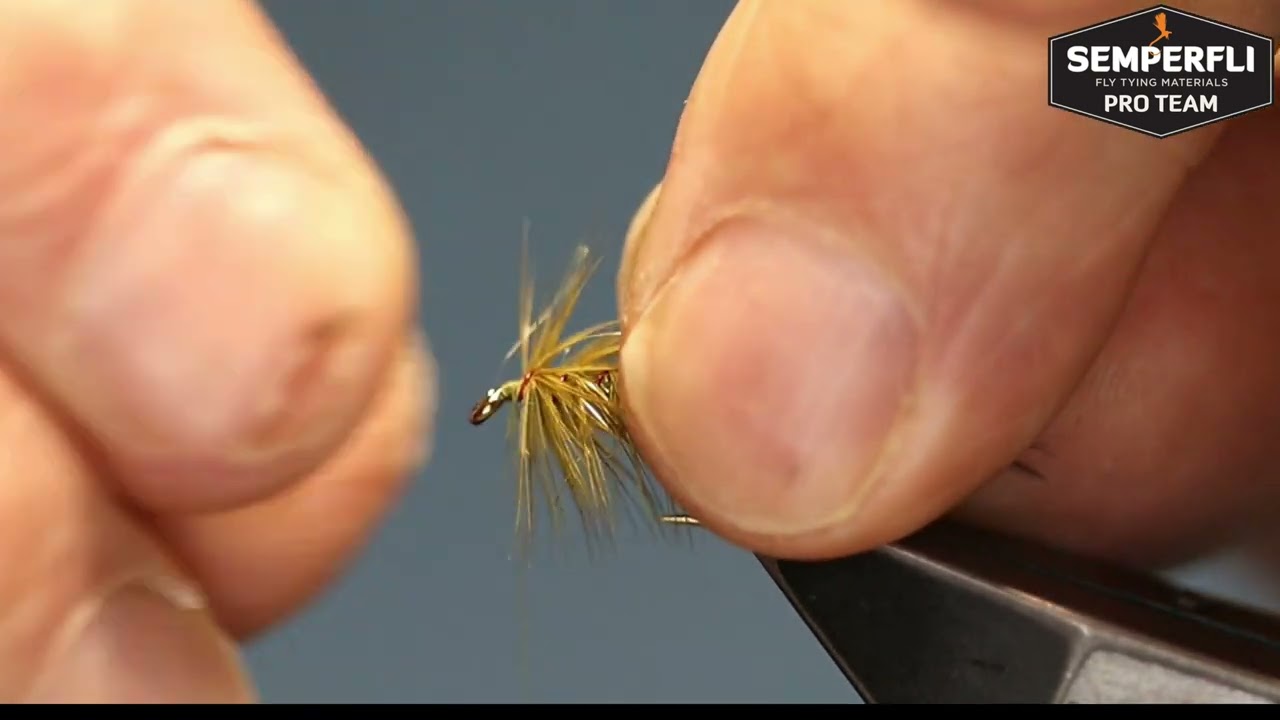 Olive Dabbler