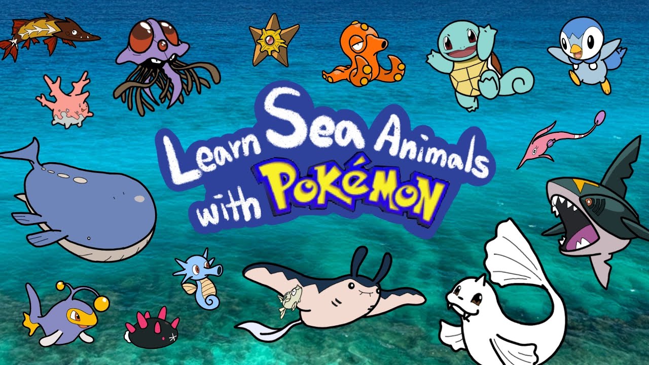 Pokemon Sea Animals | What Sea Animals are in Pokémon? | Guess & Meet the Water Pokémon! | Kids Draw