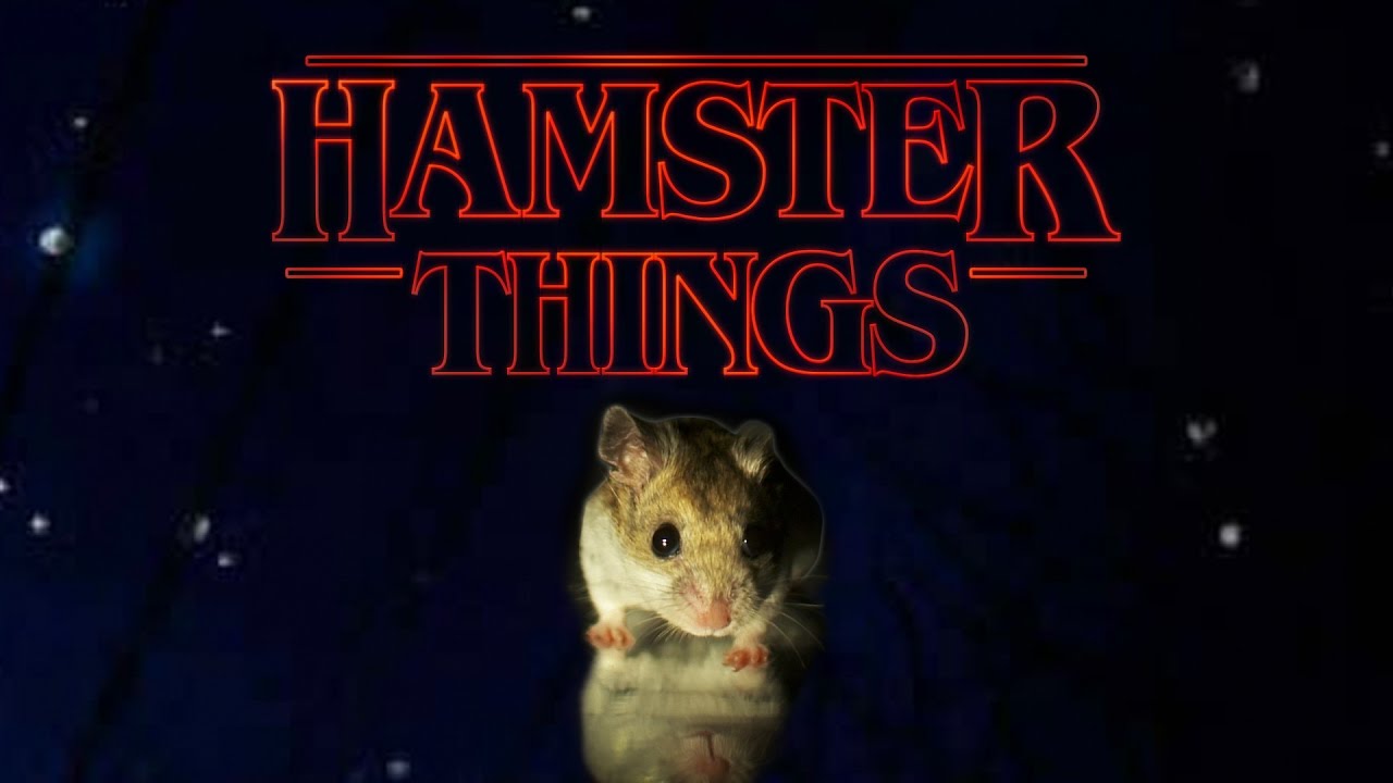 Hamster Things - 'Stranger Things' with Hamsters