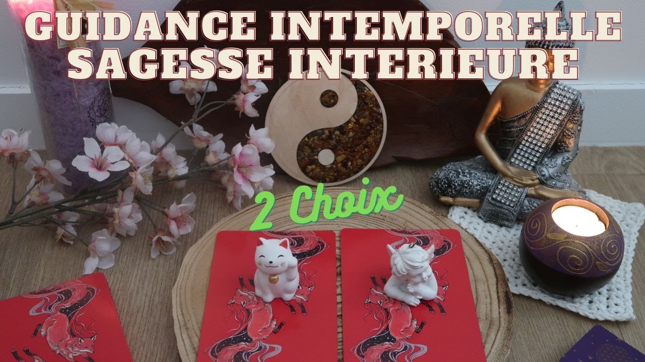 🪶🔮 VOTRE GUIDANCE INTEMPORELLE 🧙 SAGESSE INTERIEURE 🧘‍♀️ 2 CHOIX 🌲
