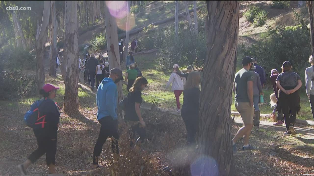 Carlsbad community gathers together to &lsquo;Finish Lisa&rsquo;s Walk&rsquo;