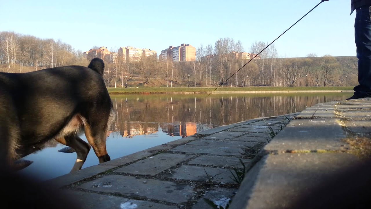 Спиннинг Major Craft Go Emotion