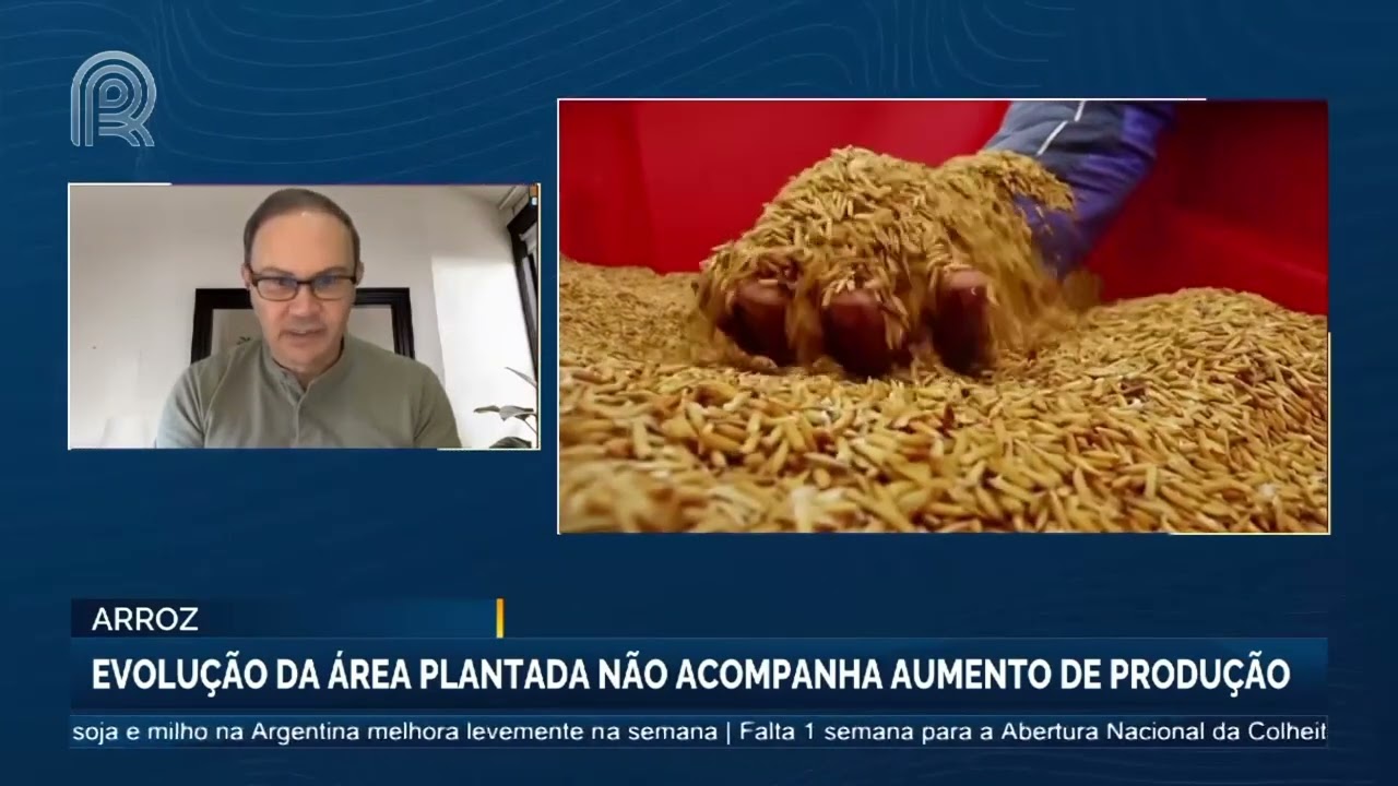 Commodities em Foco: evolu&ccedil;&atilde;o da &aacute;rea plantada do arroz n&atilde;o acompanha aumento de produ&ccedil;&atilde;o
