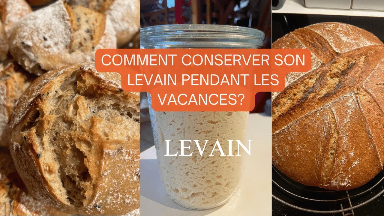 🍞 LEVAIN EN VACANCES : Comment le conserver, le réveiller ou le déshydrater ?