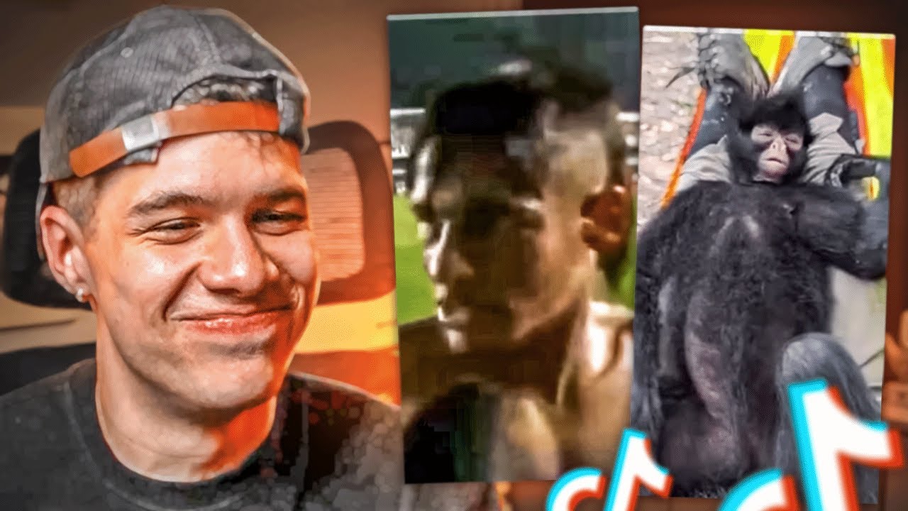 MIS VIEWERS ME MANDAN SUS MEJORES TIKTOKS #2 🤣