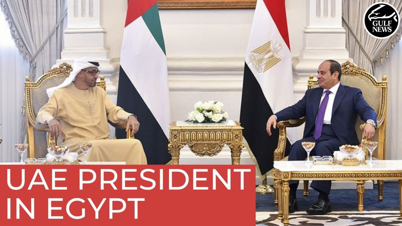 UAE President in Egypt, meets Egyptian President in Alamein city