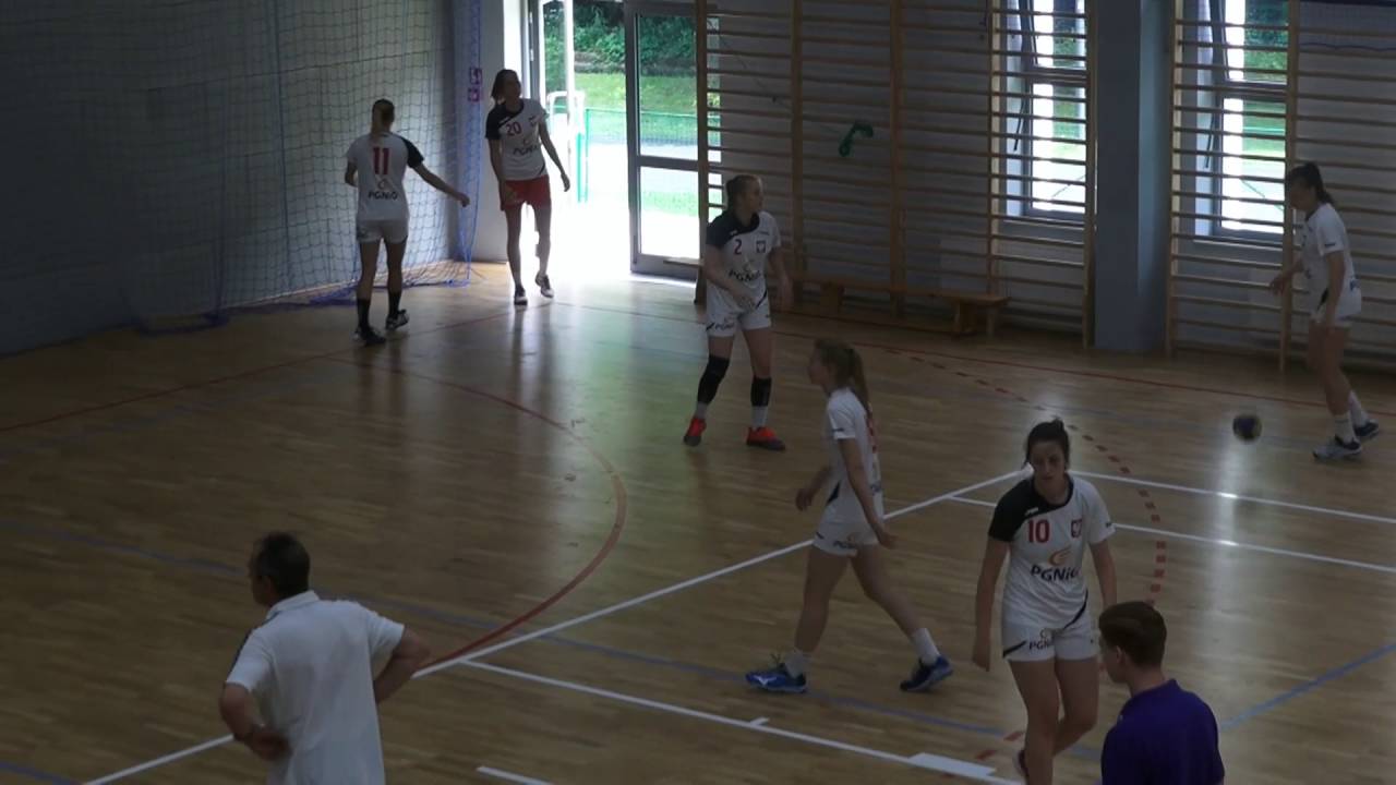 Offence systems with 2 and 3 pivot players by the EHF Lecturer Rolf Brack