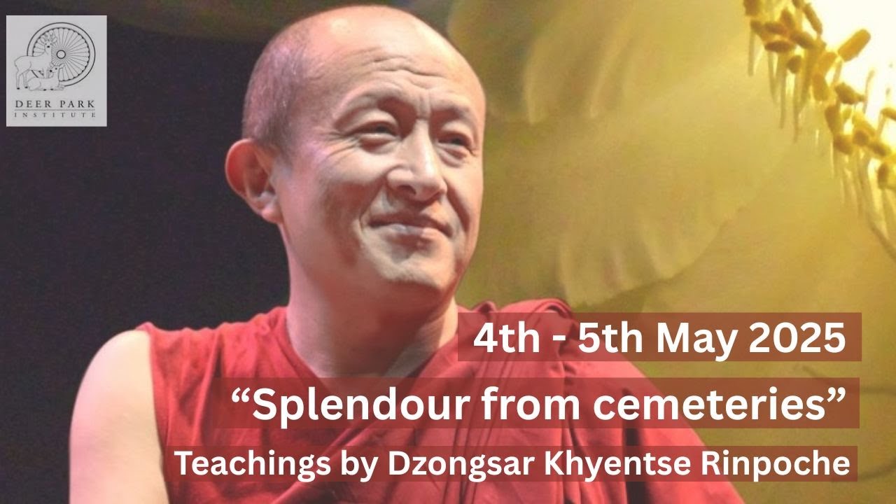 “Splendour from cemeteries” | Day 1 - Session 2