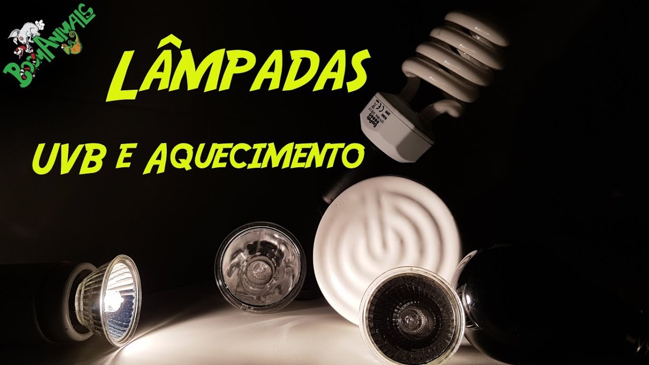 Tutorial: Lâmpadas para Terrário - UVB e Aquecimento - Inverno 2018