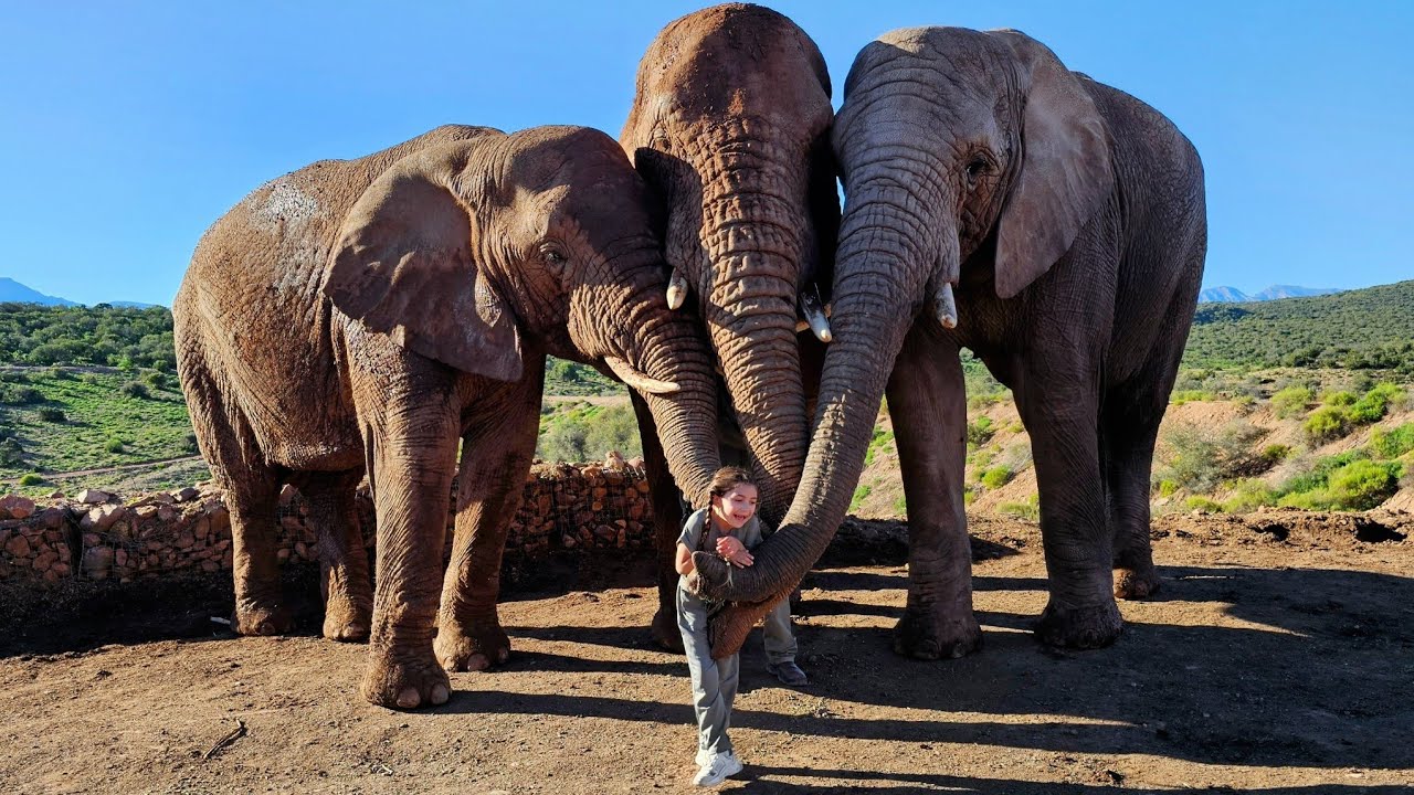 Sleeping with WILD ANIMALS in AFRICA!