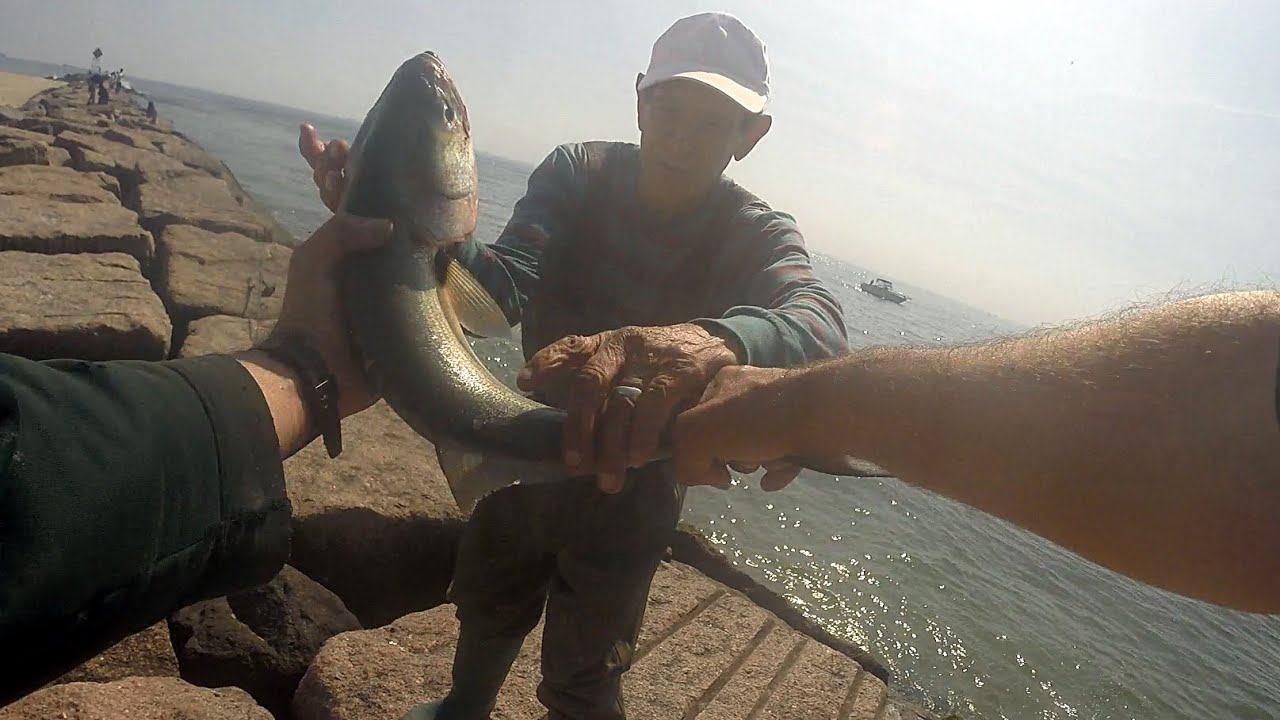 Fishing for BLUEFISH LIMIT *** CRAZY INSANE FAST ACTION *** DIAMOND JIGS All the Way