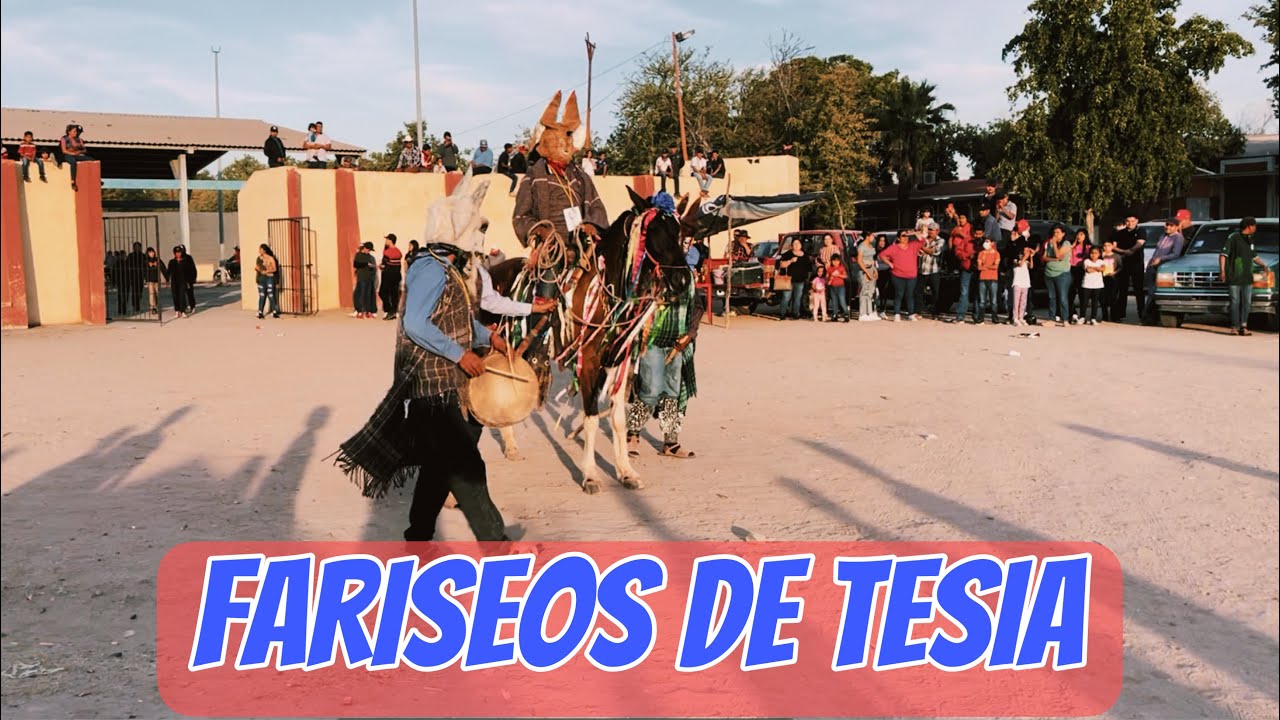 Un fariseo andaba a caballo en Tesia Navojoa Sonora