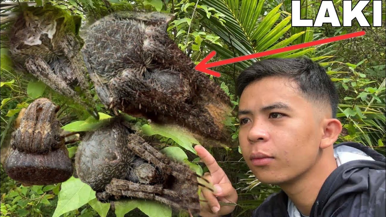MADAMI ANG MGA GAGAMBA SA BAGONG SPOT NA PINUNTAHAN KO
