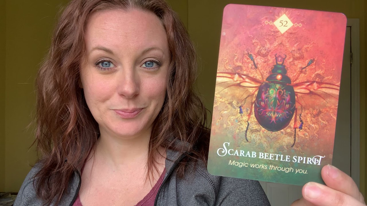Top 3 Oracle Decks for Beginners and One-Card Daily Draws