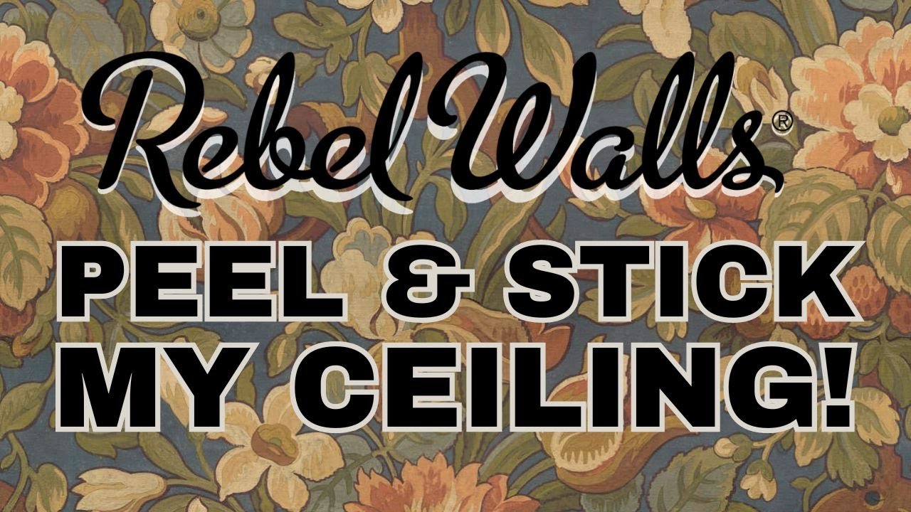 Wallpapering to Mozart Ep. 14