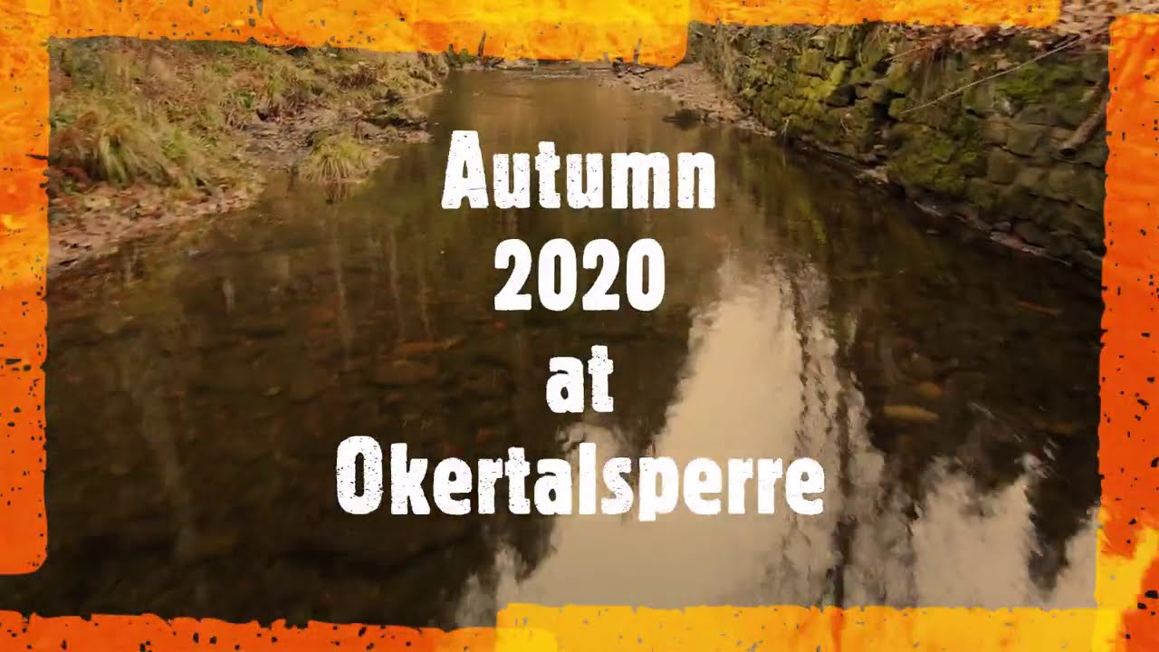 Okertalsperre in Harz - from above 4K Dji Mavic Air 2 - relaxing music