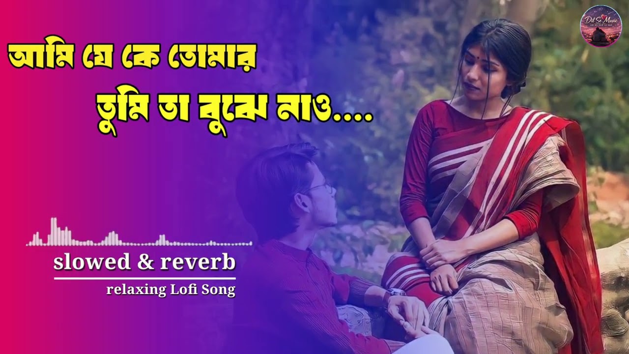 আমি যে কে তোমার তুমি তা বুঝে নাও ~ Cover song || bangla lo-fi song || relaxing song ||#dilsemusic 