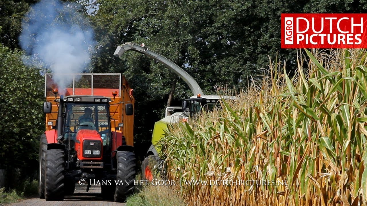Mais hakselen en kuilwerk - Maish&auml;ckseln und Silo fahren - Maisernte - 2018