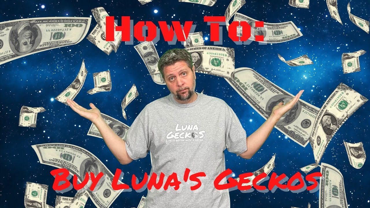 How To: Buy Luna's Geckos
