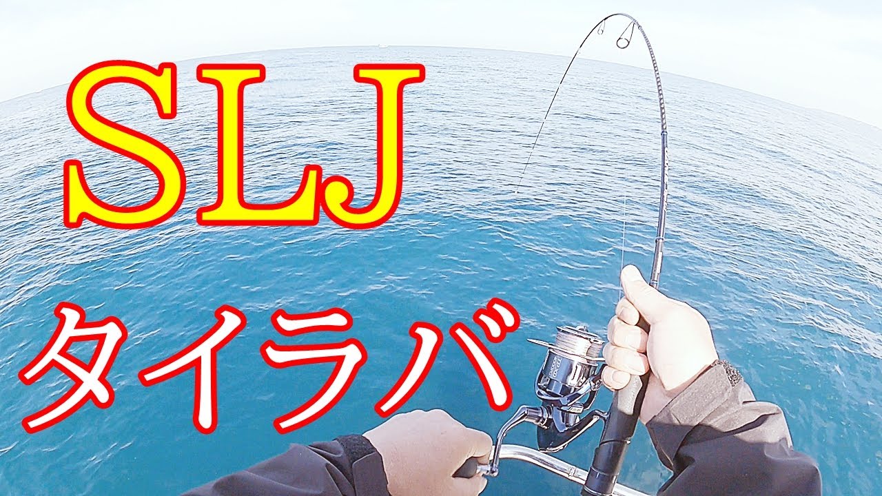 タイラバ・ＳＬＪ このサイズが釣れたら満足です
