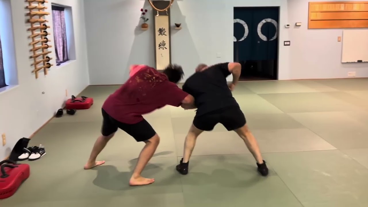 Aikido: Drilling Transition Dilemmas Between Mid-Range Striking and Mid-Range Grappling