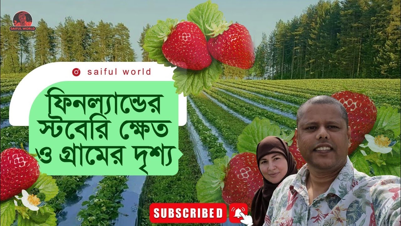 ফিনল্যান্ডের স্ট্রবেরি ক্ষেত এবং গ্রামের দৃশ্য Strawberry garden Finland