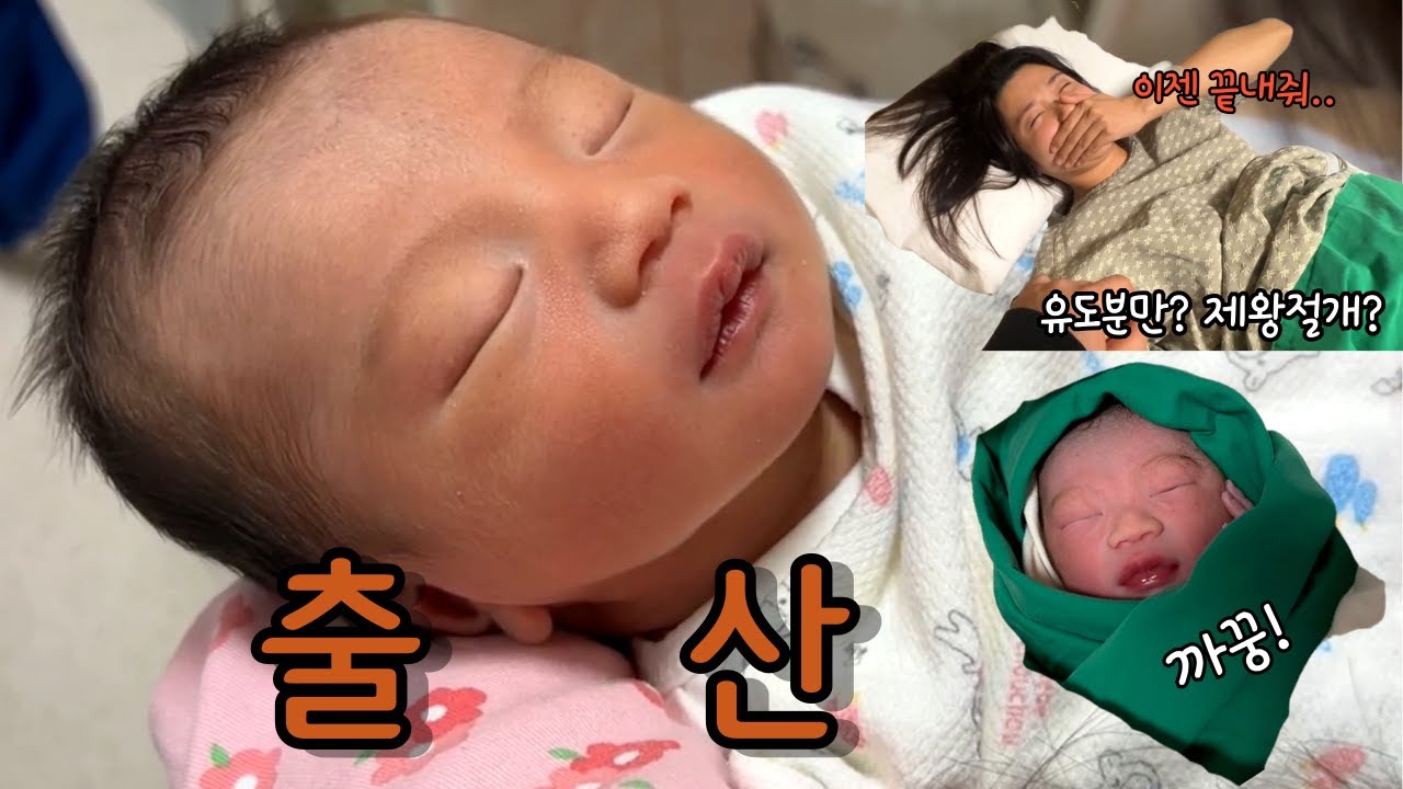 드디어 내새끼 출산!! / 유도분만? / 제왕절개? / 출산고통 /남편의할일 / 처음느끼는 감정 / 고슴도치사랑