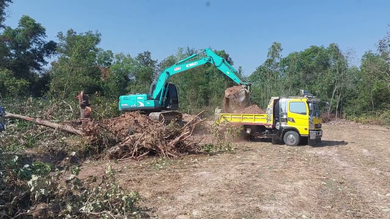 ระวังๆหน่อย สแสบ สลัดผัก