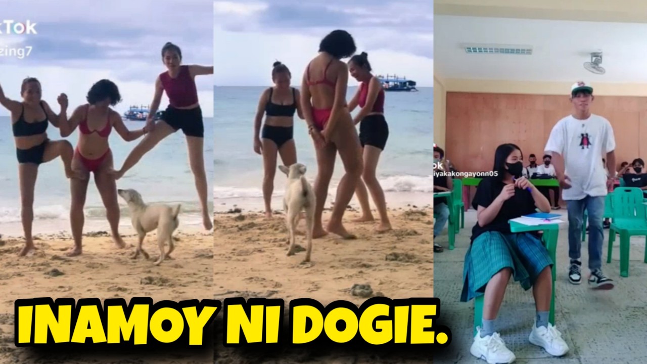 MAY NAAMOY YATA SI DOGGY |  Best Pinoy Funny Videos Compilation TRY NOT TO LAUGH