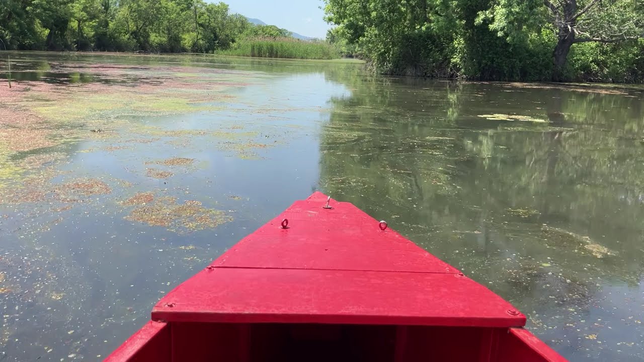 Türkiye’nin Amazon’u! Karacabey Longozu’nda Sandal Gezisi 🚣‍♂️